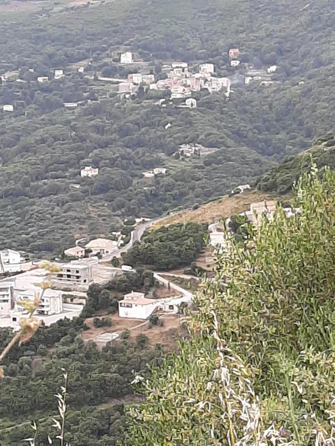 Villa Ribellu Bastia  Exterior foto